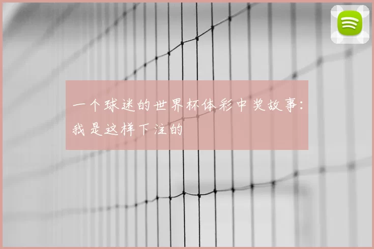 一个球迷的世界杯体彩中奖故事:我是这样下注的