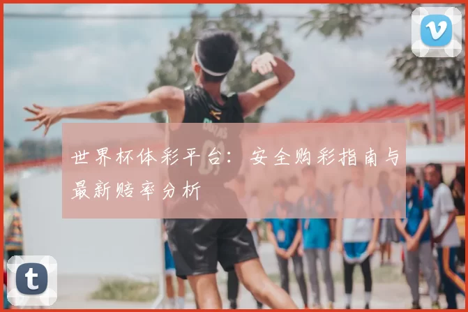 世界杯体彩平台：安全购彩指南与最新赔率分析