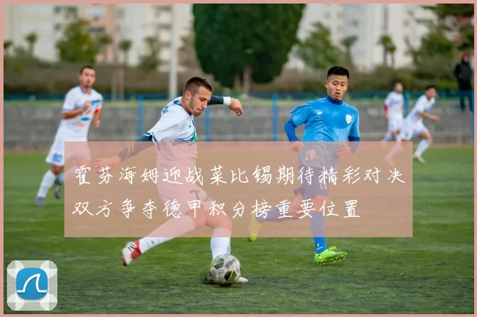 霍芬海姆迎战菜比锡期待精彩对决双方争夺德甲积分榜重要位置