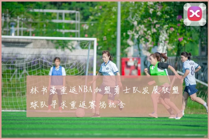 林书豪重返NBA加盟勇士队发展联盟球队寻求重返赛场机会