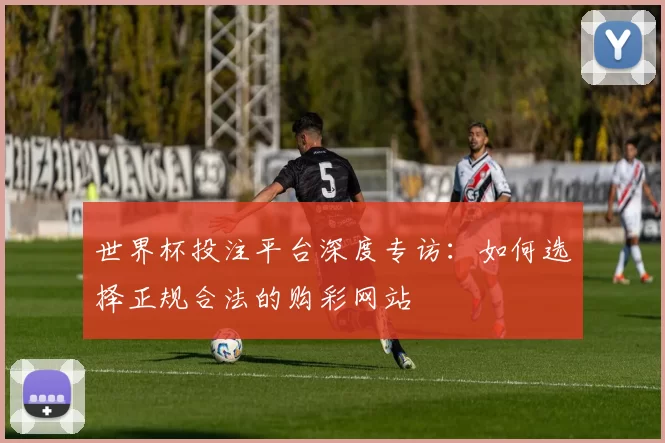 世界杯投注平台深度专访：如何选择正规合法的购彩网站