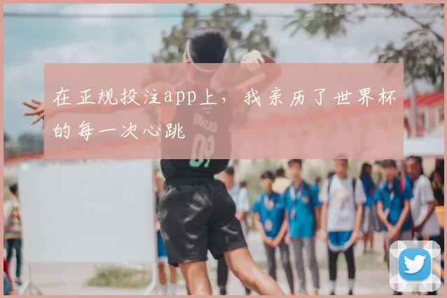 在正规投注app上，我亲历了世界杯的每一次心跳