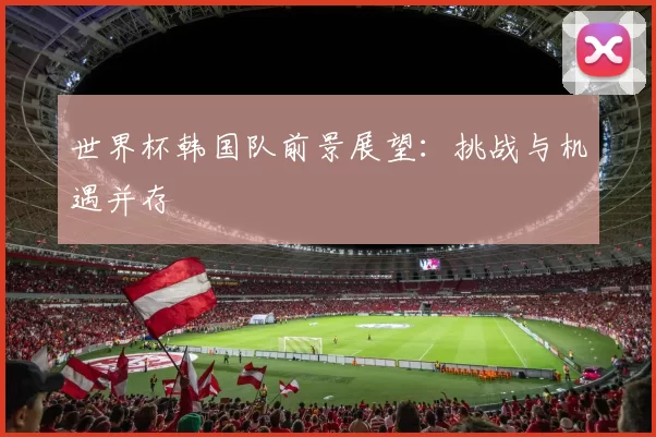 世界杯韩国队前景展望：挑战与机遇并存