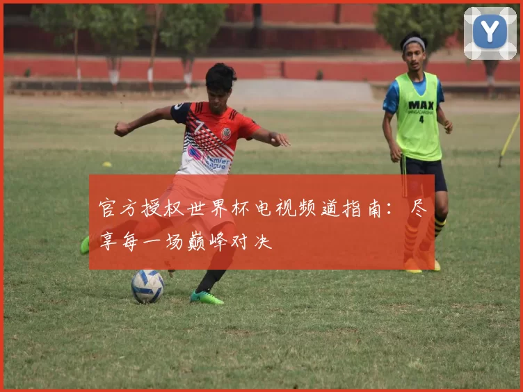 官方授权世界杯电视频道指南：尽享每一场巅峰对决