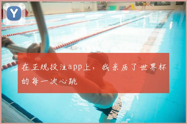 在正规投注app上，我亲历了世界杯的每一次心跳